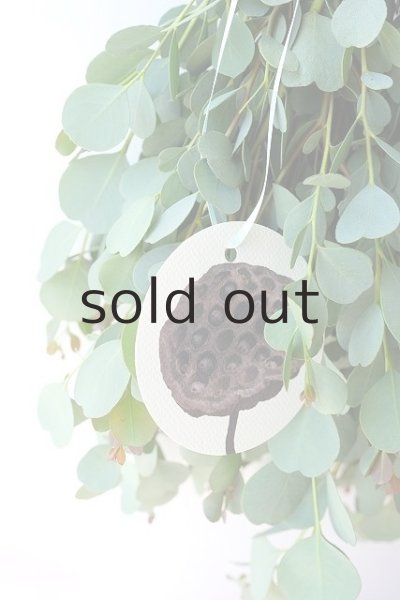 画像3: Dry plants for decor ハートリーフユーカリシンプルスワッグ (3)