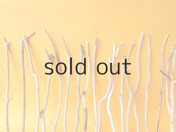 画像6: 小枝流木セット (6)