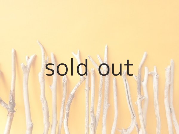 画像6: 小枝流木セット (6)