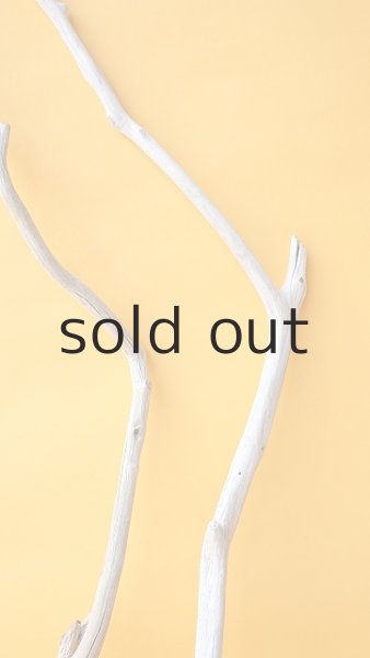 画像3: 枝流木セット (3)