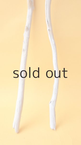 画像2: 枝流木セット (2)