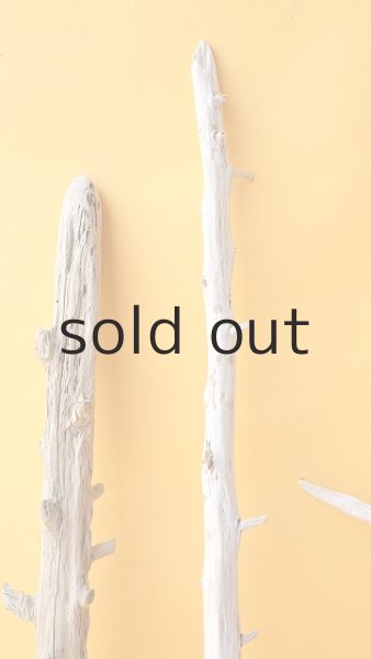 画像5: 枝流木セット (5)