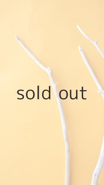 画像4: 枝流木セット (4)