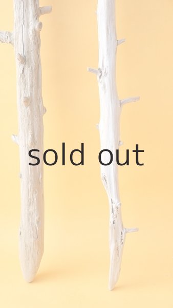 画像2: 枝流木セット (2)