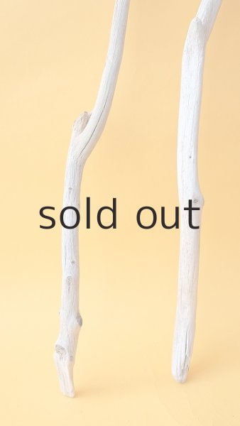 画像2: 枝流木セット (2)