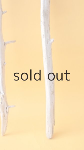 画像3: 枝流木セット (3)