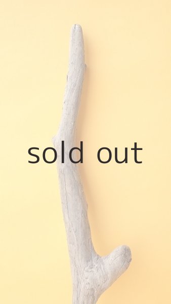 画像3: 変形流木 (3)