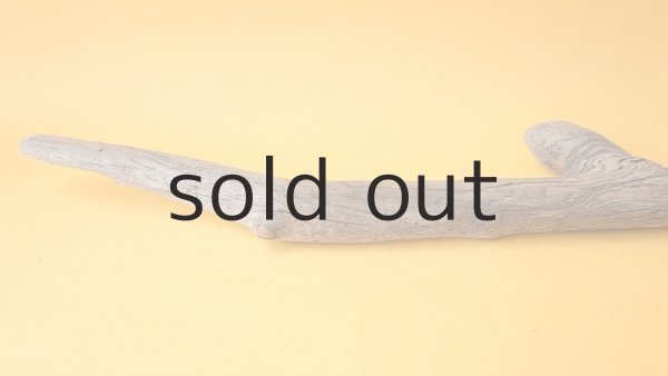 画像4: 変形流木 (4)