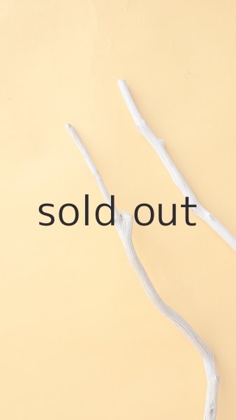 画像4: 枝流木セット (4)