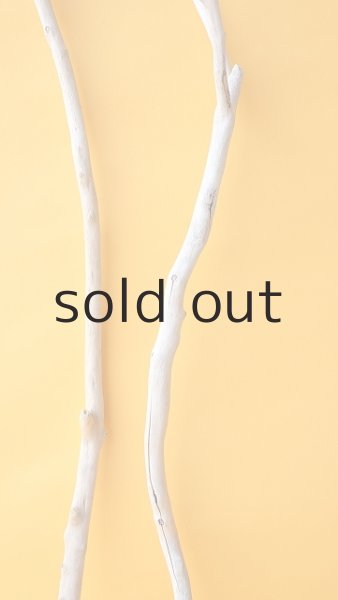 画像3: 枝流木セット (3)