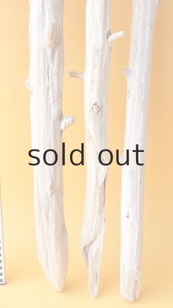 画像6: 枝流木セット (6)