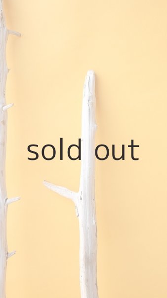 画像4: 枝流木セット (4)