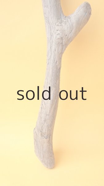 画像2: 変形流木 (2)