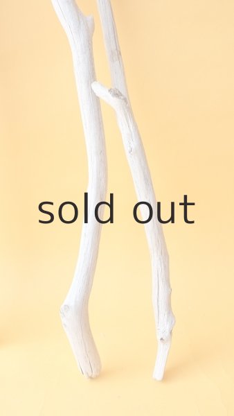 画像5: 枝流木セット (5)