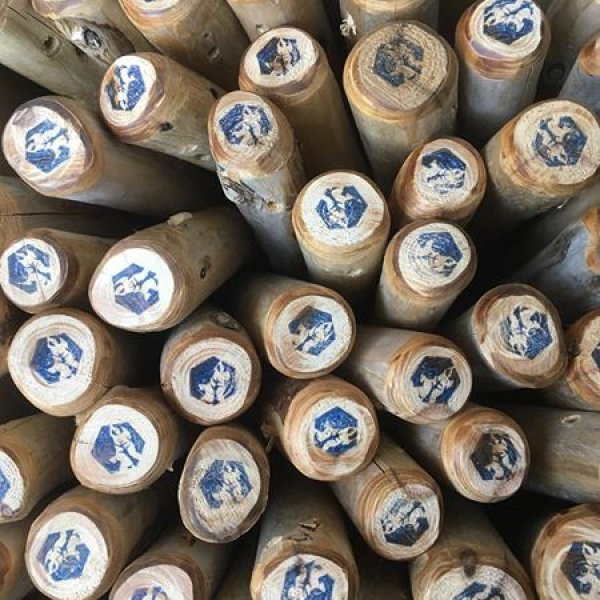 画像2: ストールハンガー（お好きなカラー4本セット）5色の中から1色お選びください♪ (2)