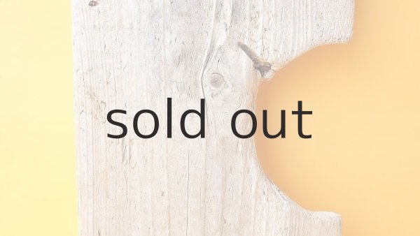 画像3: 板流木 (3)