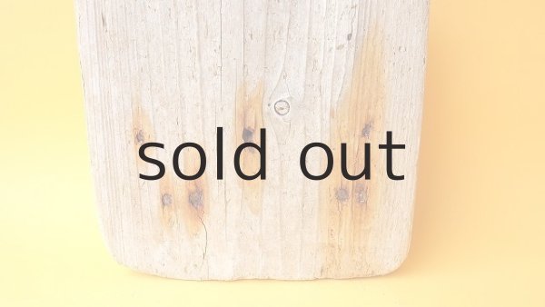 画像2: 板流木 (2)