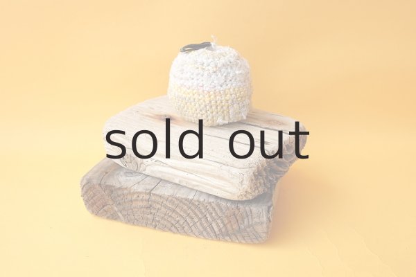 画像4: 板流木セット (4)