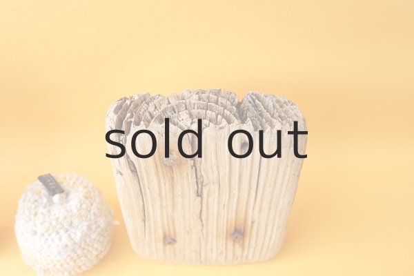 画像3: 板流木セット (3)