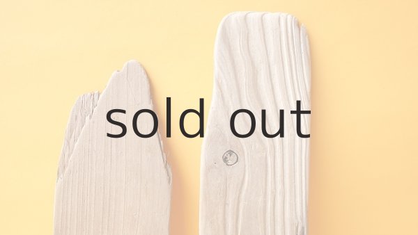 画像3: 板流木セット (3)