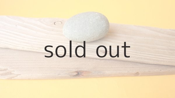 画像4: 板流木セット (4)