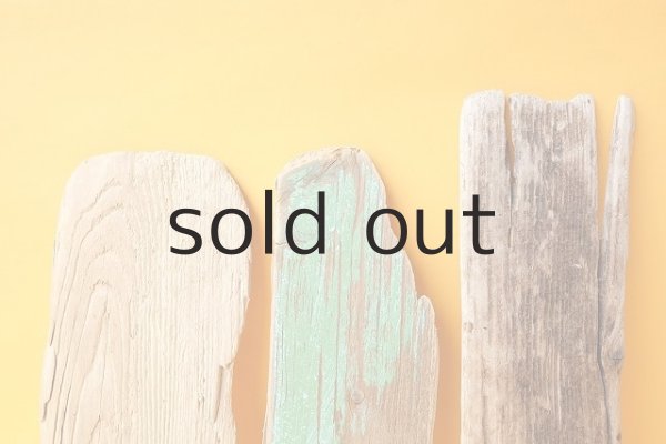 画像3: 板流木セット (3)