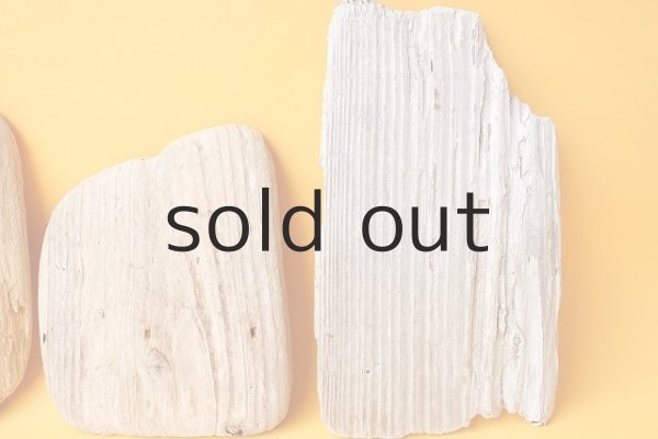 画像3: 板流木セット (3)