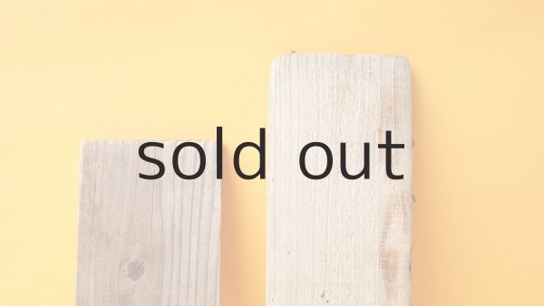 画像3: 板流木セット (3)