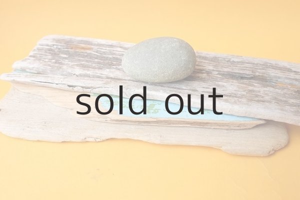 画像4: 板流木セット (4)