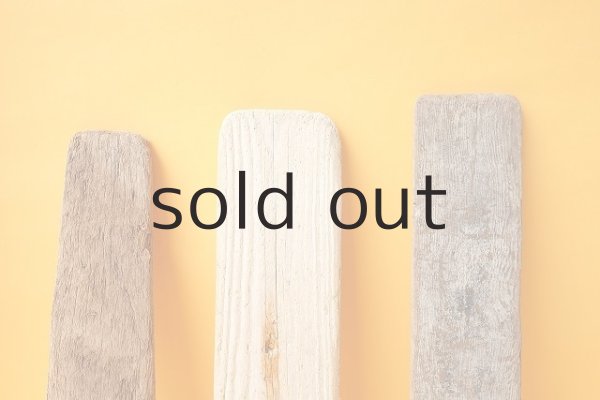 画像3: 板流木セット (3)