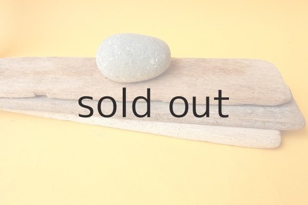 画像4: 板流木セット (4)