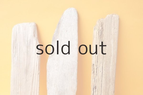 画像3: 板流木セット (3)