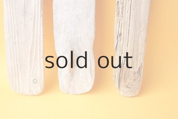 画像2: 板流木セット (2)