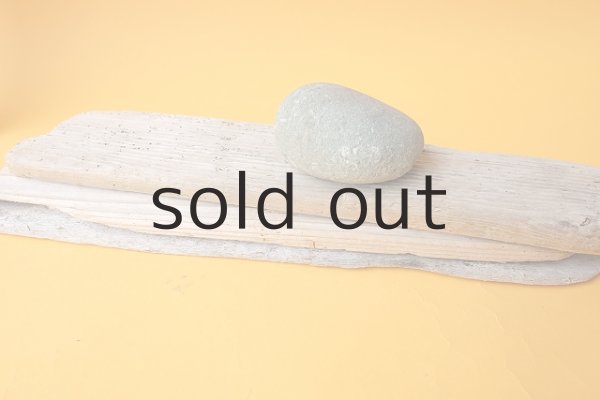 画像4: 板流木セット (4)