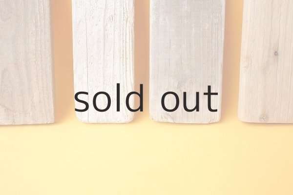 画像4: 板流木セット (4)