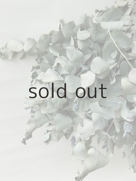 画像4: Dry plants for decor ユーカリシンプルスワッグ (4)