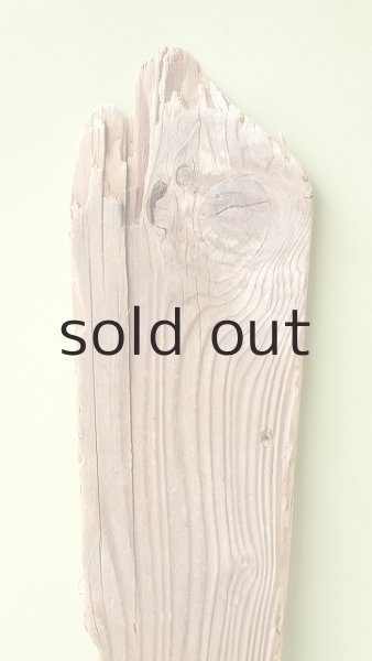 画像4: 板流木＊outlet＊ (4)