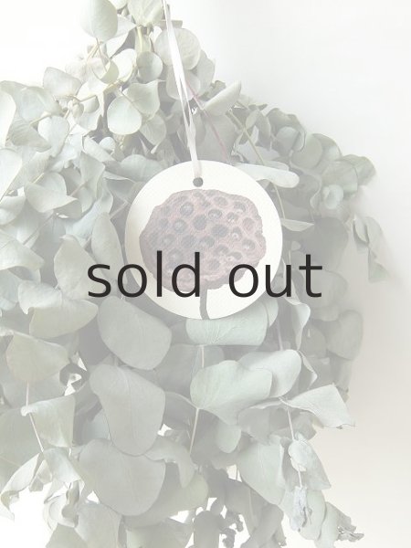 画像3: Dry plants for decor ユーカリシンプルスワッグ (3)