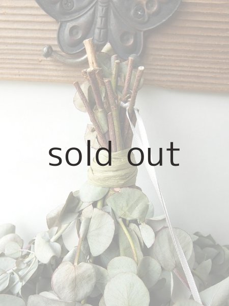 画像2: Dry plants for decor ユーカリシンプルスワッグ (2)