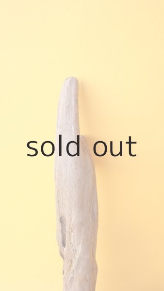 画像3: 変形流木 (3)