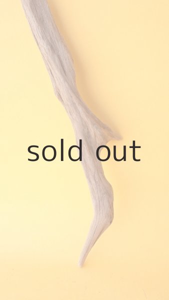 画像2: 変形流木 (2)