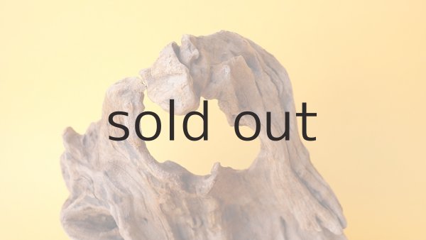 画像3: 変形流木 (3)