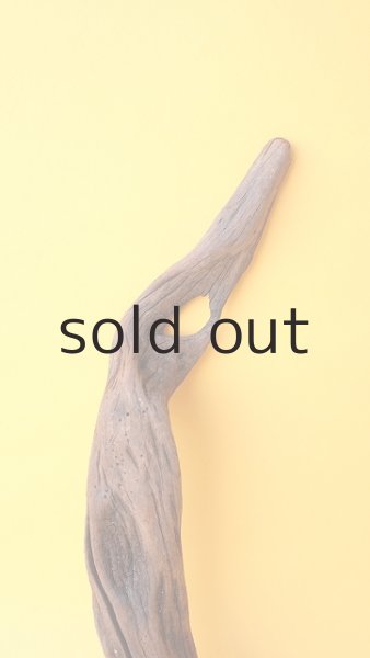 画像3: 変形流木 (3)