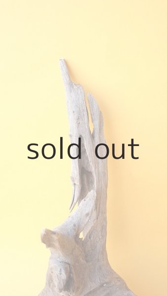 画像3: 変形流木 (3)