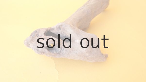 画像5: 変形流木 (5)