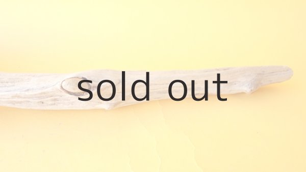 画像7: 流木根 (7)