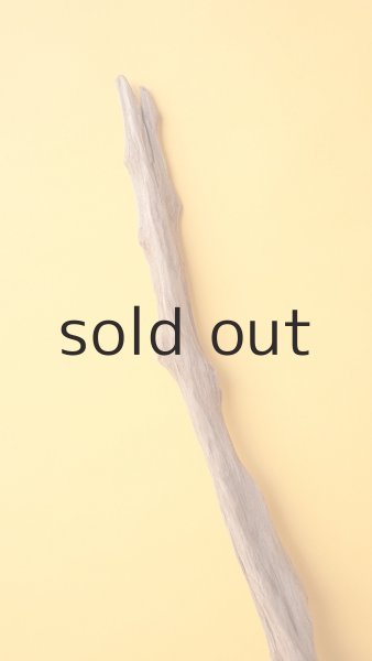 画像3: 変形流木 (3)