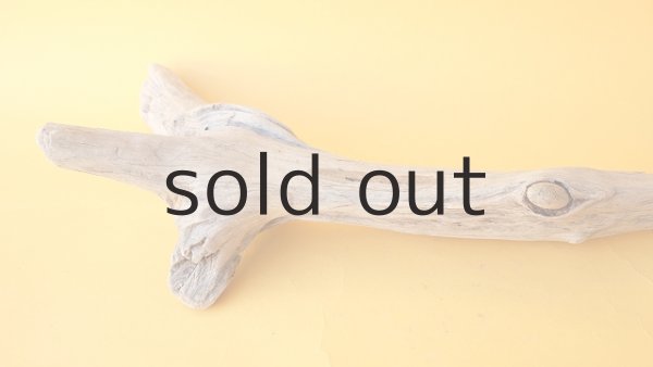 画像6: 流木根 (6)