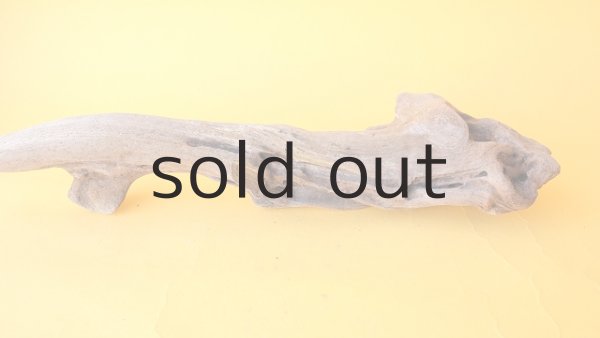 画像6: 変形流木 (6)