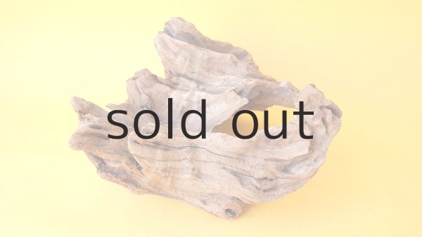 画像5: 変形流木 (5)